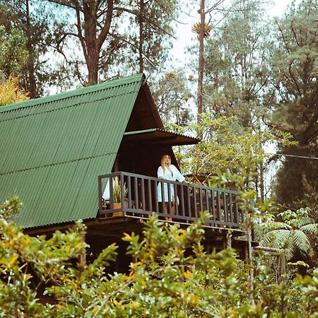 فندق Cardinal Glamping غواتابيه المظهر الخارجي الصورة